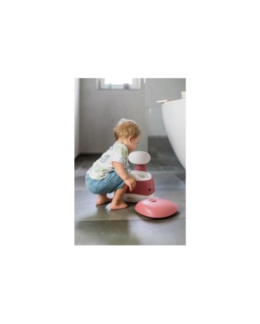 Pot baleine