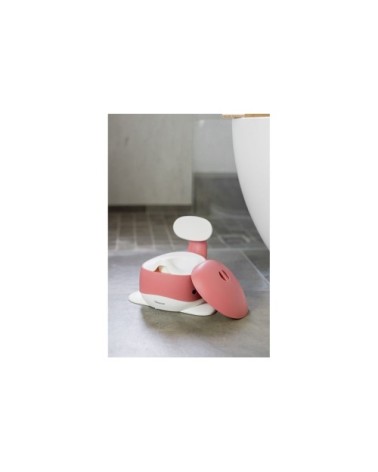 Pot baleine