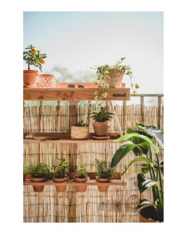 Jardin suspendu pour bar de balcon en pin blanc