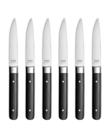 Coffret 6 couteaux steak