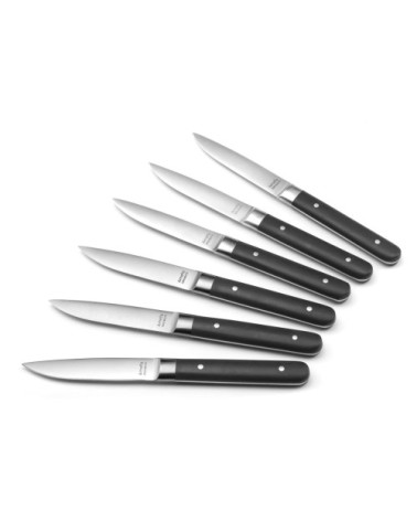 Coffret 6 couteaux steak