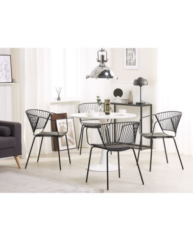 Lot de 2 chaises en métal noir