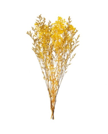 Bouquet de fleurs séchées jaune