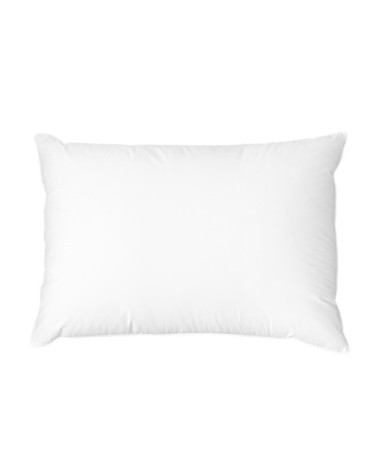 Oreiller naturel moelleux 50% duvet canard ne 50x70 cm