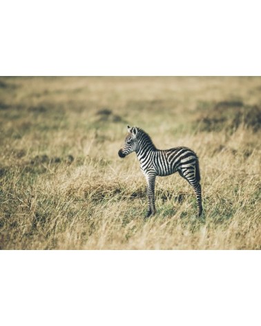 Photographie d'art des BestJobers 60x90 cm sur plexi