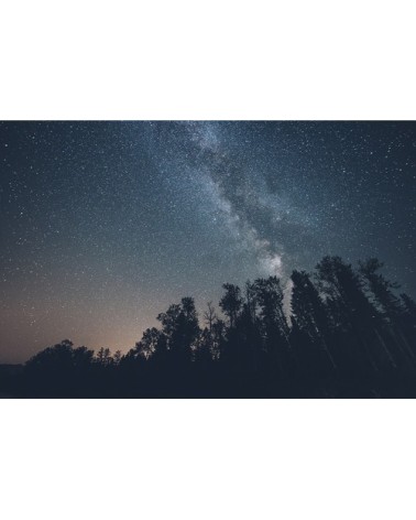 Photographie d'art des BestJobers 40x60 cm sur plexi