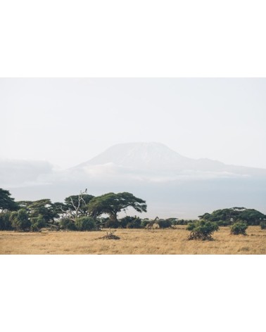 Photographie d'art des BestJobers 60x90 cm sur plexi