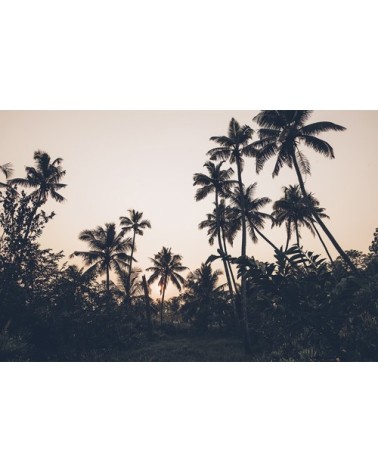 Photographie d'art des BestJobers 30x45 cm sur plexi