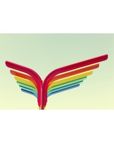 Photographie d'art d'Eric Dufour 30x45 cm sur alu