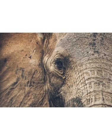 Photographie d'art des BestJobers 60x90 cm sur alu