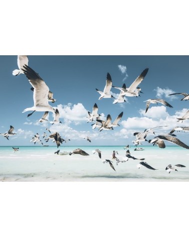 Photographie d'art des BestJobers 60x90 cm sur plexi