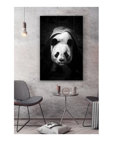 Photographie d'art de Guillaume Mordacq 30x45 cm sur alu