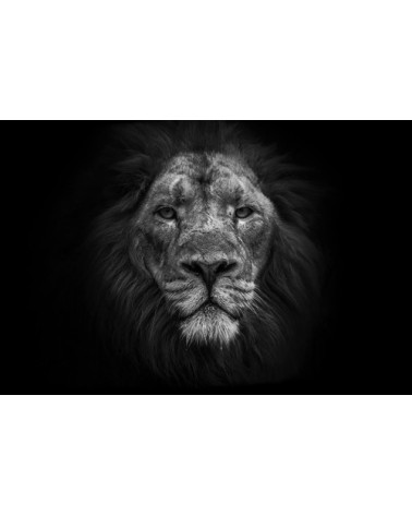 Photographie d'art de Guillaume Mordacq  60x90 cm sur alu