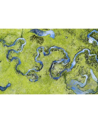 Photographie d'art d'Hugo Grandcolas 30x45 cm sur alu