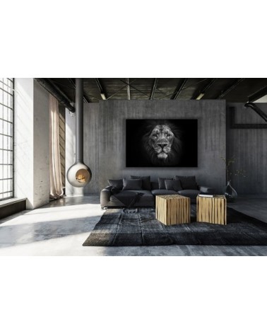 Photographie d'art de Guillaume Mordacq  40x60 cm sur plexi