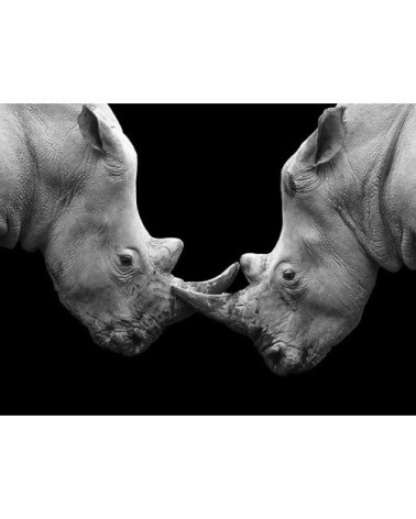 Photographie d'art de Guillaume Mordacq 30x45 cm sur alu