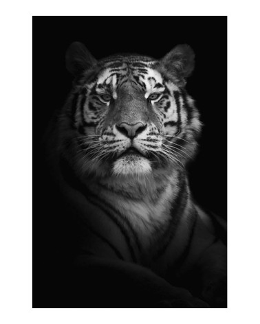 Photographie d'art de Guillaume Mordacq  60x90 cm sur alu