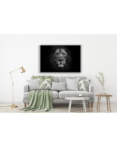 Photographie d'art de Guillaume Mordacq  30x45 cm sur plexi