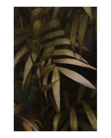 Photographie d'art de Zoé Pignolet 30x45 cm sur plexi