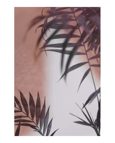 Photographie d'art de Zoé Pignolet 60x90 cm sur alu