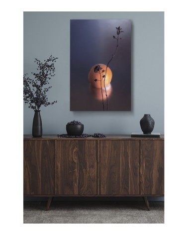 Photographie d'art de Zoé Pignolet 40x60 cm sur plexi