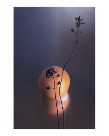 Photographie d'art de Zoé Pignolet 60x90 cm sur plexi