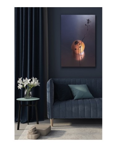 Photographie d'art de Zoé Pignolet 60x90 cm sur plexi