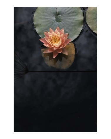 Photographie d'art de Zoé Pignolet 60x90 cm sur alu