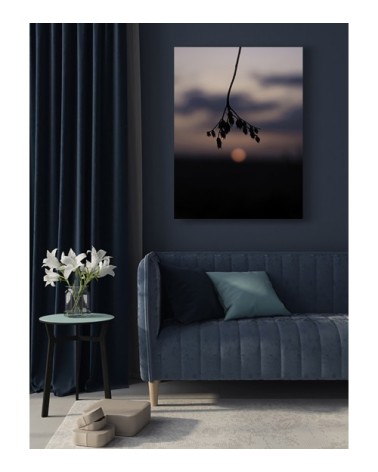 Photographie d'art de Zoé Pignolet 45x60 cm sur alu