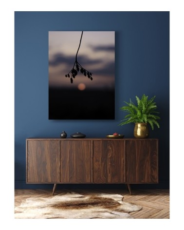 Photographie d'art de Zoé Pignolet 45x60 cm sur alu