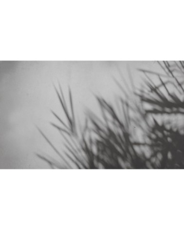 Papier peint panoramique concrete bamboo 170 x 250