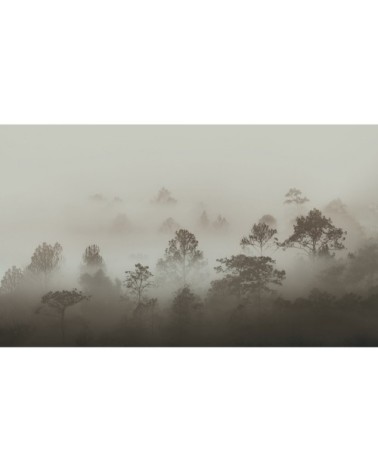 Papier peint panoramique brumes matinales 255 x 250