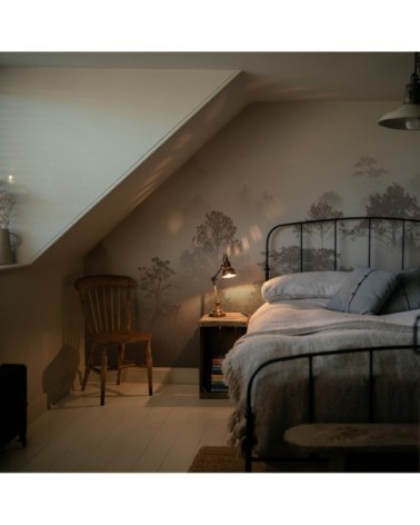 Papier peint panoramique brumes matinales 425 x 250