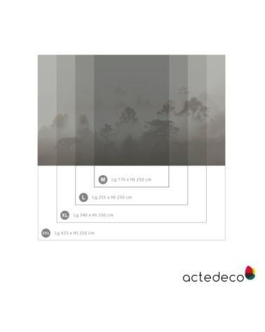 Papier peint panoramique brumes matinales 425 x 250