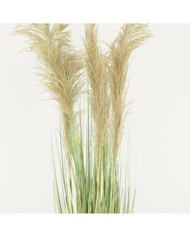 Herbes de la pampa artificielles 150cm