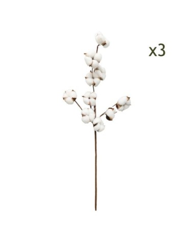 Tige de coton naturel lot de 3 70cm