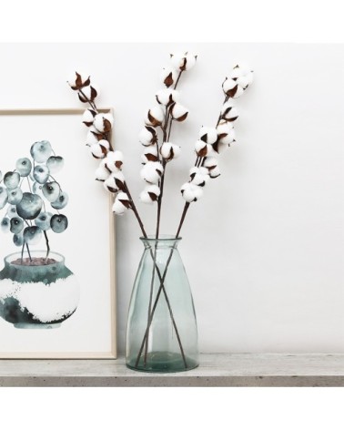 Tige de coton naturel lot de 3 70cm