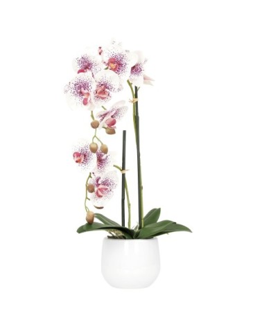 Orchidées artificielles blanc-rose 50cm