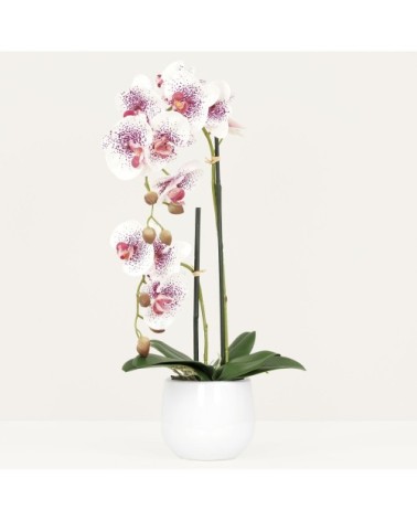 Orchidées artificielles blanc-rose 50cm