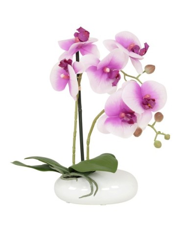 Orchidées artificielles blanc-fuchsia 35cm