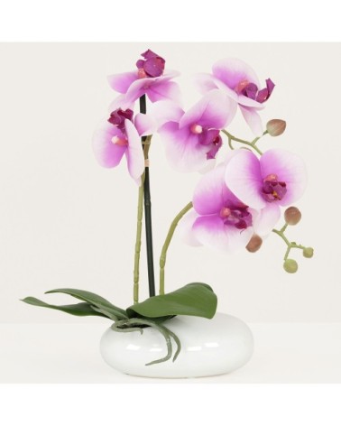 Orchidées artificielles blanc-fuchsia 35cm