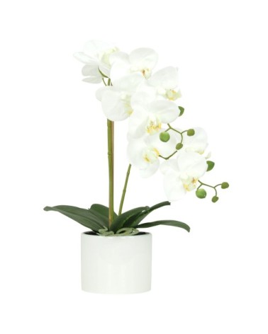 Orchidées artificielles blanches 55cm