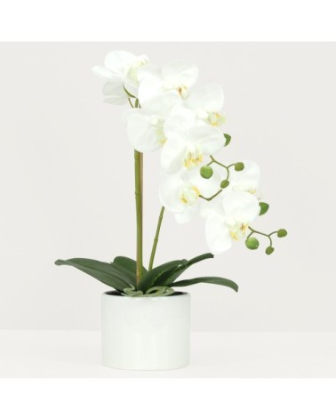 Orchidées artificielles blanches 55cm