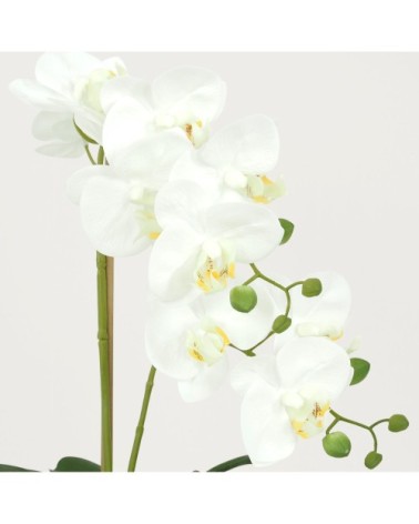 Orchidées artificielles blanches 55cm