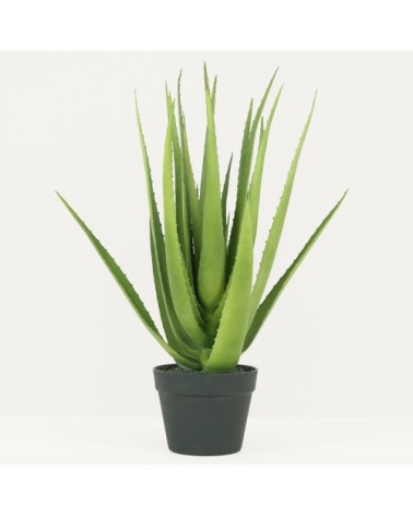 Aloe vera artificiel 60cm