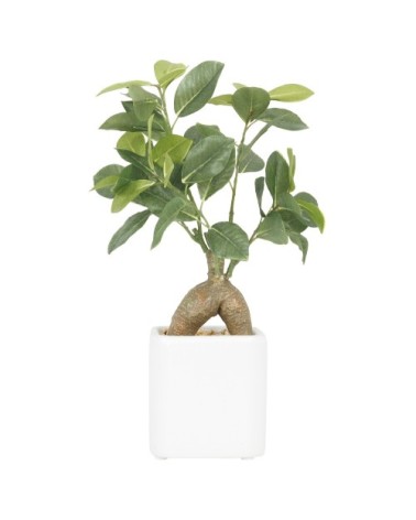 Bonsaï artificiel ficus ginseng 30cm