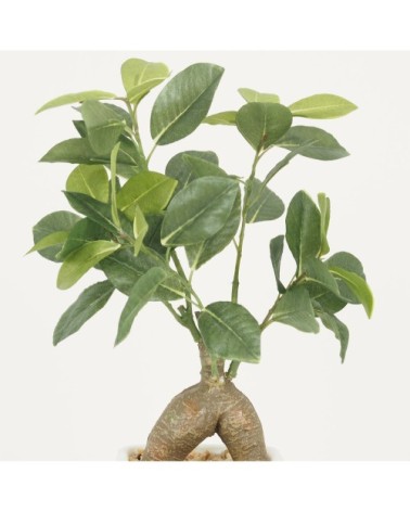 Bonsaï artificiel ficus ginseng 30cm