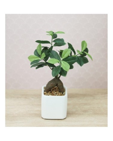 Bonsaï artificiel ficus ginseng 30cm