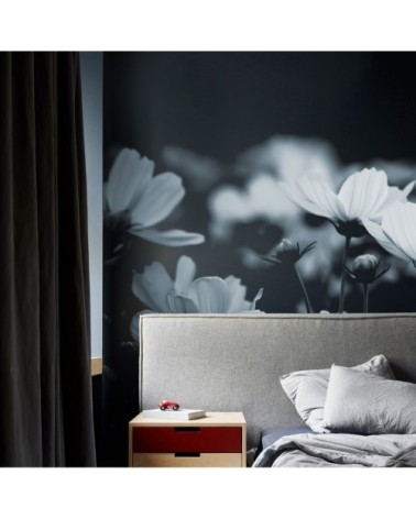 Papier peint panoramique fleurs de cosmos 425 x 250  gris