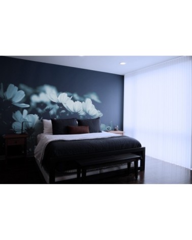 Papier peint panoramique fleurs de cosmos 425 x 250  bleu